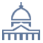 Government icon